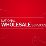 Wholesale Intro_6